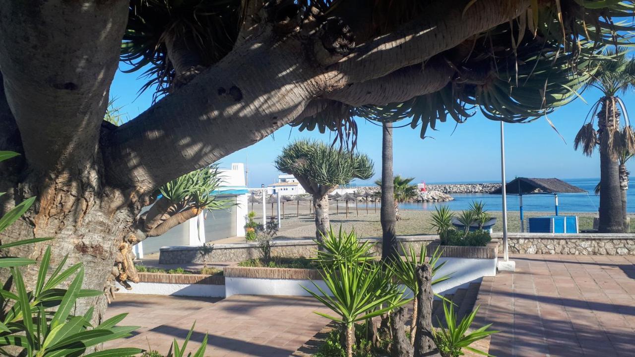 Apartamento 409 Marina Real Puerto De La Duquesa Playa 马尼尔瓦 外观 照片